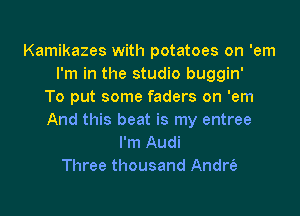 Kamikazes with potatoes on 'em
I'm in the studio buggin'
To put some faders on 'em

And this beat is my entree
I'm Audi
Three thousand Andre?