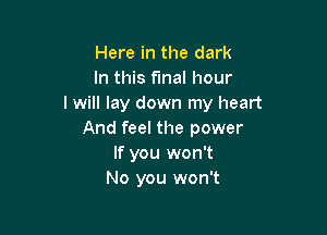 Here in the dark
In this final hour
I will lay down my heart

And feel the power
If you won't
No you won't