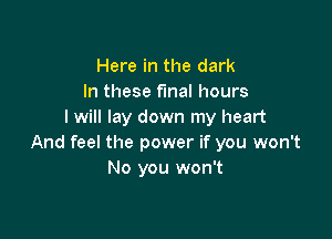Here in the dark
In these fmal hours
I will lay down my heart

And feel the power if you won't
No you won't
