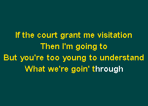 If the court grant me visitation
Then I'm going to

But you're too young to understand
What we're goin' through