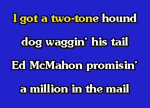 I got a two-tone hound
dog waggin' his tail
Ed McMahon promisin'

a million in the mail
