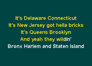 It's Delaware Connecticut
It's New Jersey got hella bricks
It's Queens Brooklyn

And yeah they wildin'
Bronx Harlem and Staten Island