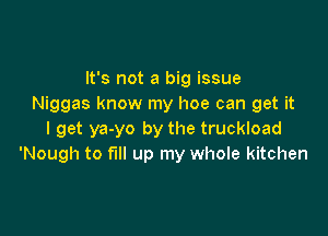 It's not a big issue
Niggas know my hoe can get it

I get ya-yo by the truckload
'Nough to full up my whole kitchen