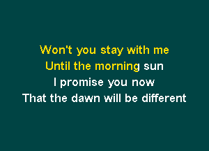 Won't you stay with me
Until the morning sun

I promise you now
That the dawn will be different