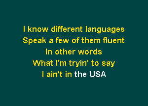 I know different languages
Speak a few of them fluent
In other words

What I'm tryin' to say
I ain't in the USA