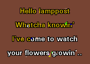 Hello Iamppogt
Whatcha know'in'

I've come to watch

your flowersl'g.'owin'.,.