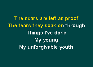 The scars are left as proof
The tears they soak on through
Things I've done

My young
My unforgivable youth