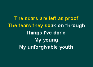 The scars are left as proof
The tears they soak on through
Things I've done

My young
My unforgivable youth