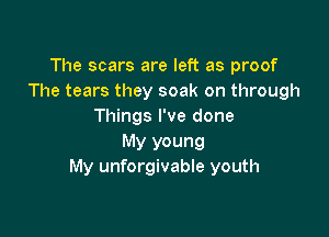 The scars are left as proof
The tears they soak on through
Things I've done

My young
My unforgivable youth