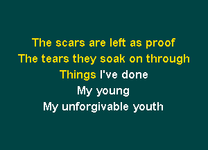 The scars are left as proof
The tears they soak on through

Things I've done
My young
My unforgivable youth