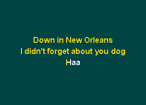 Down in New Orleans
I didn't forget about you dog

Haa