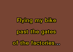 Flying my bike

past the gates

of the factories...