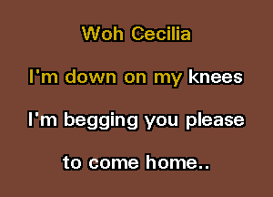 Woh Cecilia

I'm down on my knees

I'm begging you please

to come home..