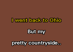 I went back to Ohio

But my

pretty countryside..