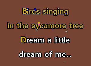 Biros singing

in the sxfcamore tree
.4

Dream a little

dream of me..