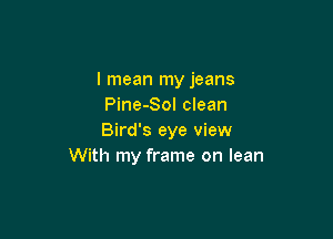I mean my jeans
Pine-Sol clean

Bird's eye view
With my frame on lean