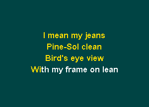 I mean my jeans
Pine-Sol clean

Bird's eye view
With my frame on lean