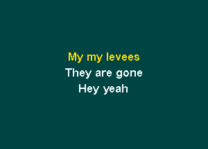 My my levees
They are gone

Hey yeah