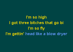 I'm so high
I got three bitches that go bi

I'm so fly
I'm gettin' head like a blow dryer