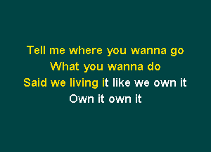 Tell me where you wanna go
What you wanna do

Said we living it like we own it
Own it own it