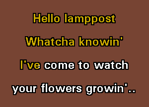 Hello Iamppost
Whatcha knowin'

I've come to watch

your flowers growin'..