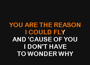 YOU ARE THE REASON
ICOULD FLY
AND 'CAUSE OF YOU
I DON'T HAVE

TO WONDER WHY I
