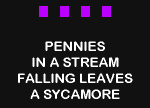 PENNIES

IN A STREAM
FALLING LEAVES
A SYCAMORE