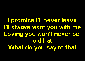 I promise I'll never leave
I'll always want you with me
Loving you won't never be

old hat

What do you say to that