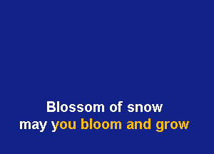 Blossom of snow
may you bloom and grow