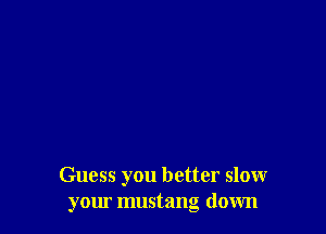 Guess you better slow
your mustang down