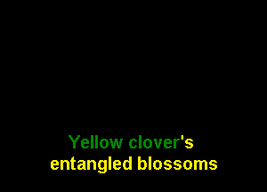 Yellow clover's
entangled blossoms