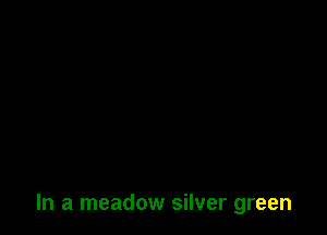 In a meadow silver green