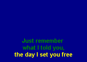 Just remember
what I told you,
the day I set you free