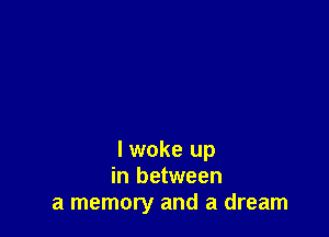 I woke up
in between
a memory and a dream