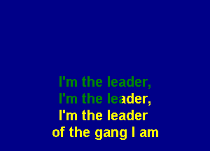 I'm the leader,

I'm the leader,

I'm the leader
of the gang I am