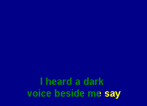 I heard a dark
voice beside me say
