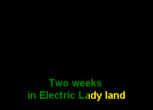Two weeks
in Electric Lady land