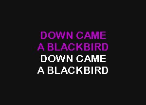 DOWN CAME
A BLACKBIRD