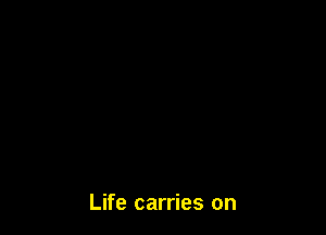 Life carries on