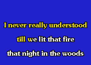 I never really understood

till we lit that fire

that night in the woods