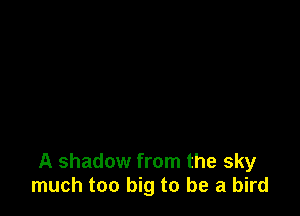 A shadow from the sky
much too big to be a bird