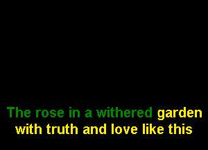 The rose in a withered garden
with truth and love like this