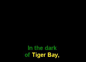 In the dark
of Tiger Bay,