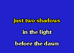 just two shadows

in the light

before the dawn