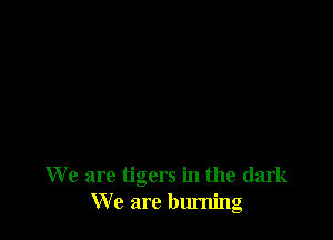 We are tigers in the dark
We are burning