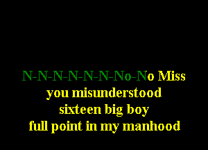 N-N-N-N-N-N-No-No Miss
you misunderstood
sixteen big boy
full point in my manhood