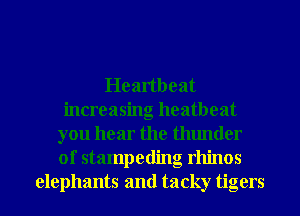 Heartbeat
increasing heatbeat
you hear the thunder
0f stampeding rhinos
elephants and tacky tigers