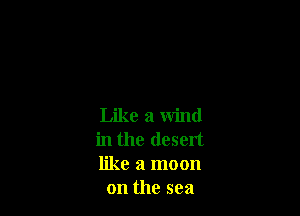 Like a wind

in the desert

like a moon
on the sea