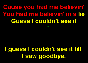 Cause you had me believin'
You had me believin' in a lie
Guess I couldn't see it

I guess I couldn't see it till
I saw goodbye.