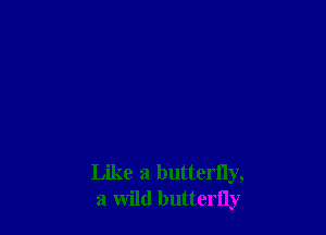 Like a butterfly,
a wild butterfly